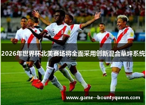 2026年世界杯北美赛场将全面采用创新混合草坪系统