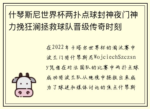 什琴斯尼世界杯两扑点球封神夜门神力挽狂澜拯救球队晋级传奇时刻